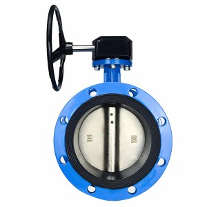 法蘭式蝸輪蝸桿蝶閥DN40，1.6Mpa（橡膠密封