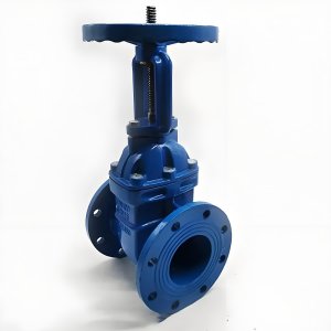 手動(dòng)閘閥Z41T-16 DN50/DN65廠家直銷，上海發(fā)